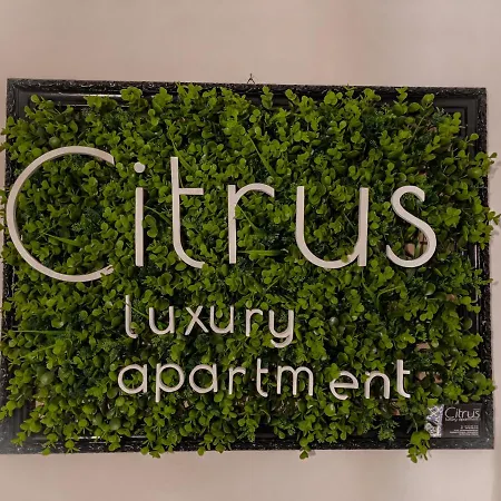 Citrus Luxury Apartment - Holiday Apartment With Up To 3 Bedrooms In Palermo Center-2